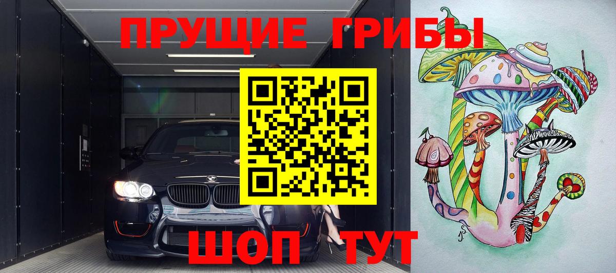 Псилоцибиновые грибы Cubensis Лангепас