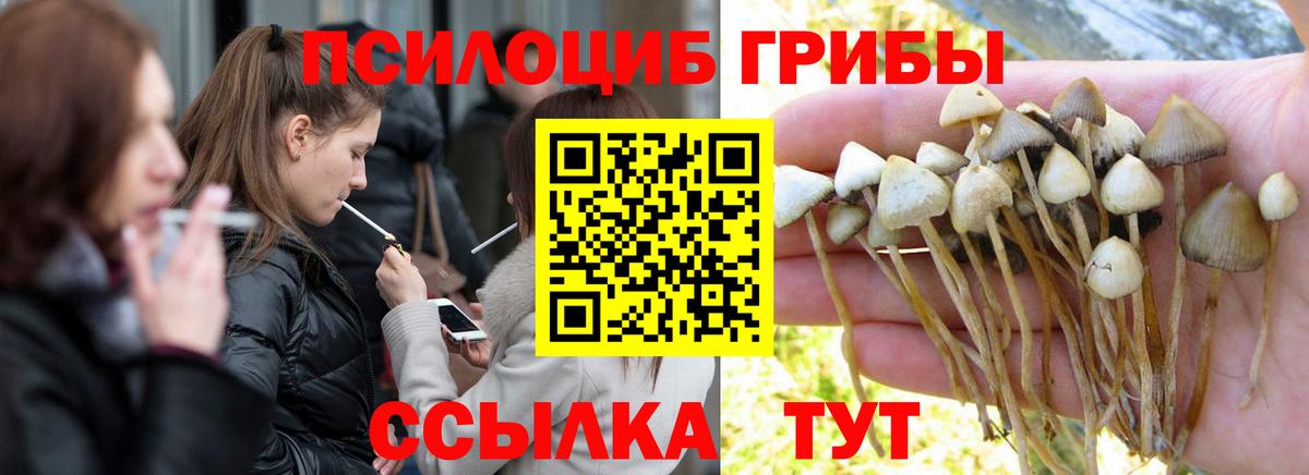 Лангепас  Галлюциногенные грибы ЛСД  Вход с VPN 